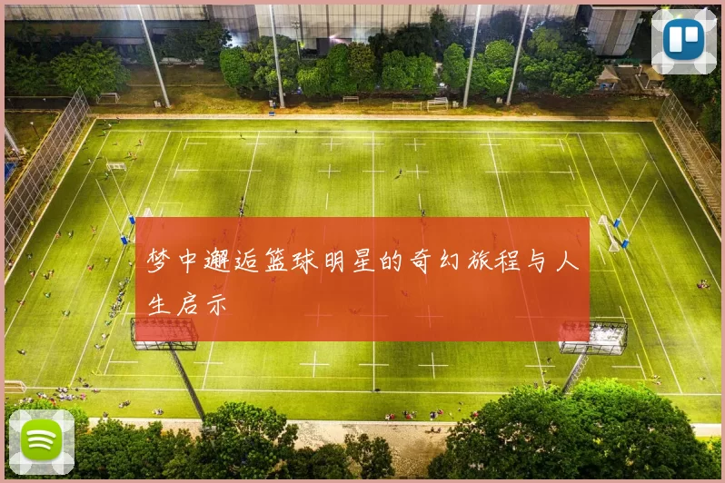 梦中邂逅篮球明星的奇幻旅程与人生启示